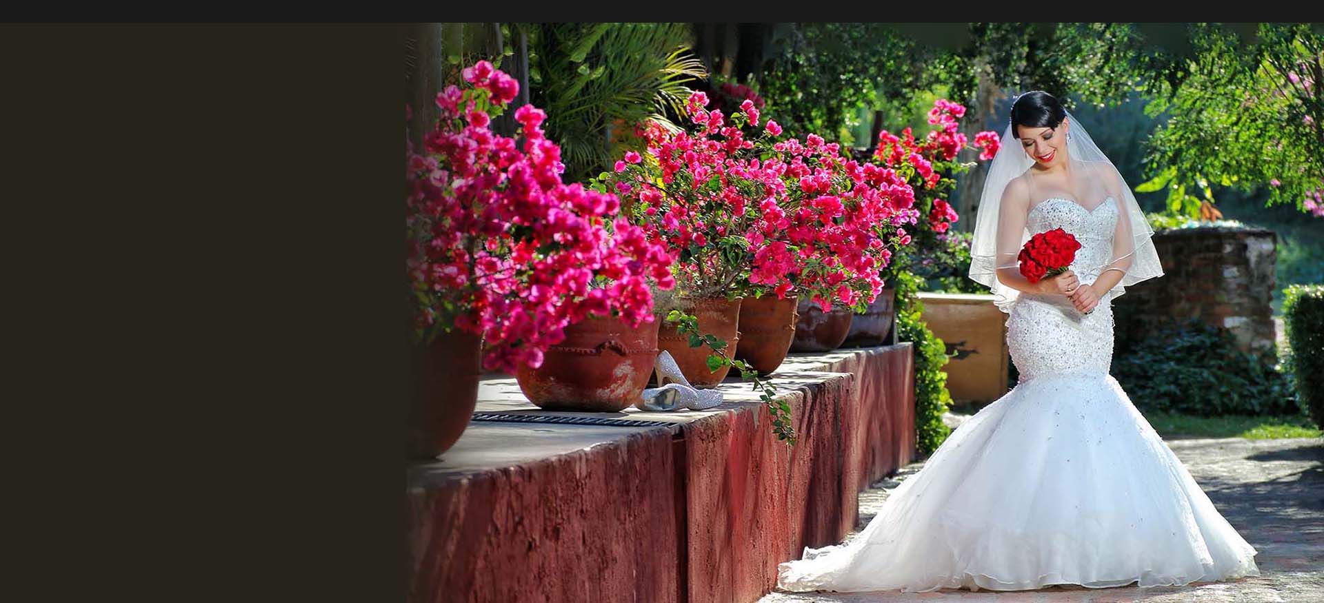 Fotografía de Bodas Mazatlán